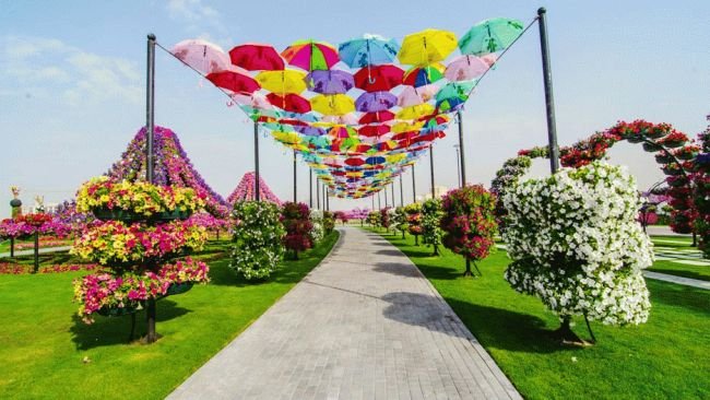 Dubai Miracle Garden – World's Largest Natural Flower Garden ...