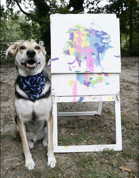 painter dog