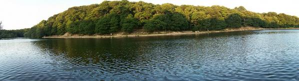 Roundhay Park