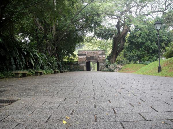 a mesmerising park in Singapore 