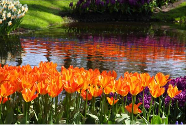 urban parks in netherlands