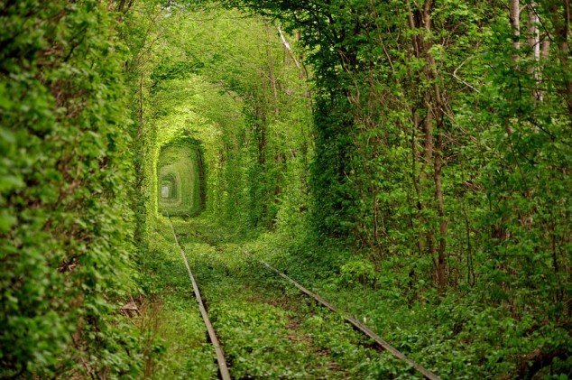 This-beautiful-train-tunnel-of-trees-called-the-Tunnel-of-Love-is-located-in-Kleven-Ukraine.-Photo-By-Oleg-Gordienko-634x421