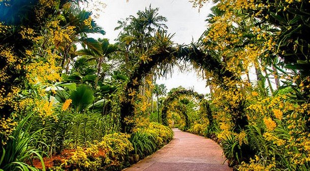 14-Singapore-Botanic-Garden_tn