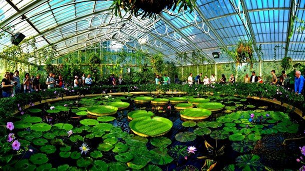 5-Royal-Botanic-Gardens-Kew_tn