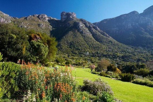 6-Kirstenbosch-Botanical-Gardens_tn