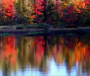 25 Great Pictures of the Fall Colors - World inside pictures