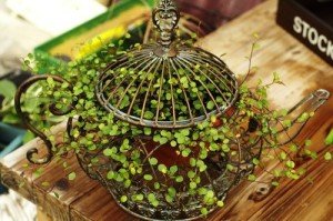 18 Creative DIY Crafts For Your Garden - World inside pictures