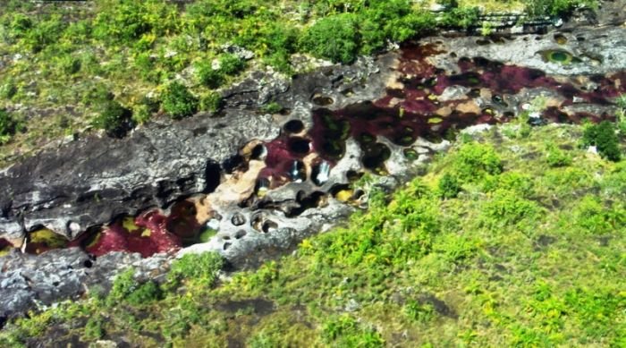cano-cristales-aka-the-river-of-five-colors_700x389_0694
