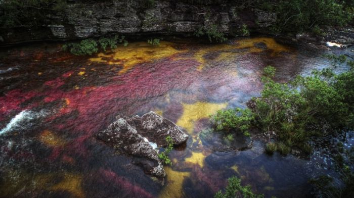 cano-cristales-aka-the-river-of-five-colors_700x392_70c3