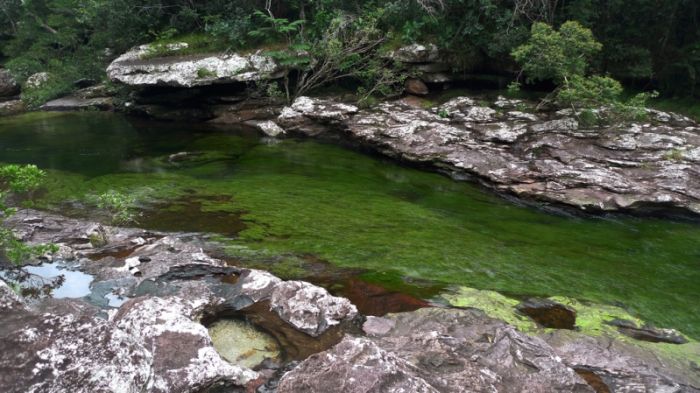 cano-cristales-aka-the-river-of-five-colors_700x393_fb04