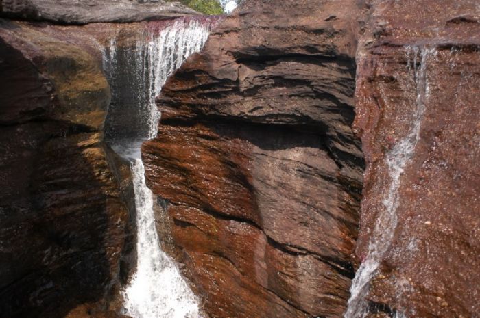 cano-cristales-aka-the-river-of-five-colors_700x465_a2e1