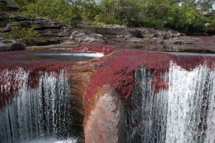 cano-cristales-aka-the-river-of-five-colors_700x465_eaa7