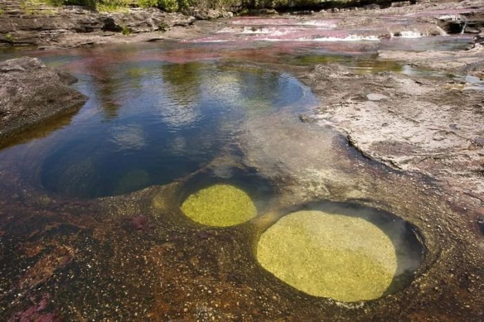 cano-cristales-aka-the-river-of-five-colors_700x466_20a9