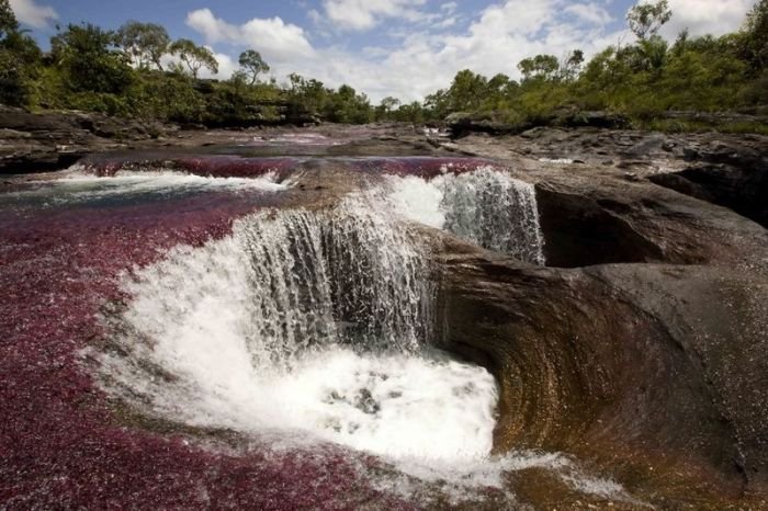 cano-cristales-aka-the-river-of-five-colors_700x466_70da