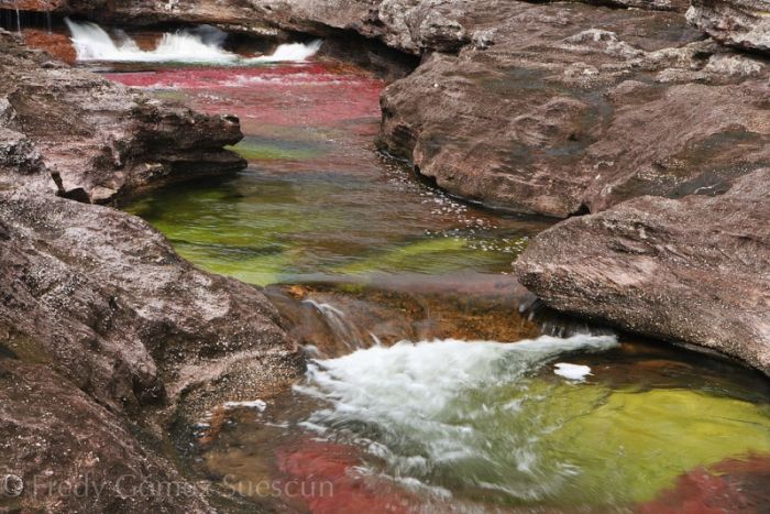 cano-cristales-aka-the-river-of-five-colors_700x467_52ab