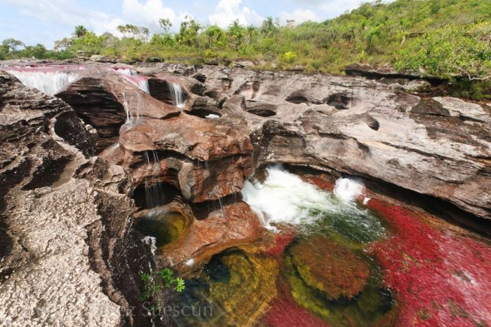 cano-cristales-aka-the-river-of-five-colors_700x467_bfeb