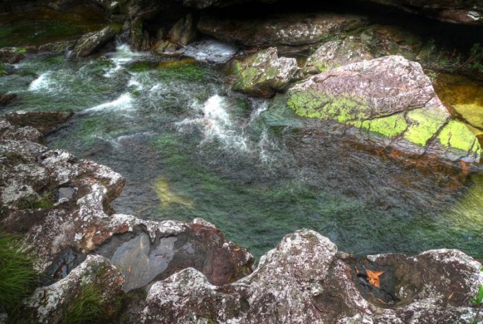 cano-cristales-aka-the-river-of-five-colors_700x469_aecf