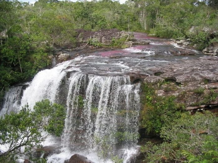 cano-cristales-aka-the-river-of-five-colors_700x525_d10c