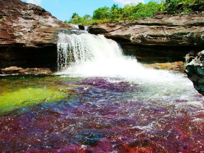 cano-cristales-aka-the-river-of-five-colors_700x525_ee0e