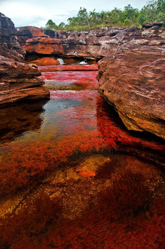 Cano Cristales, The Seven Colored River