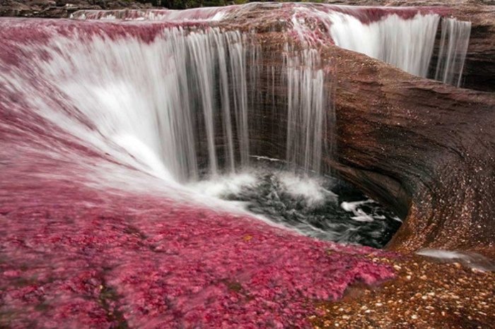 cano-cristales-najr-06