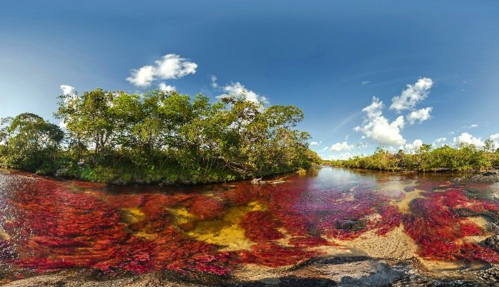 cano-cristales-najr-18