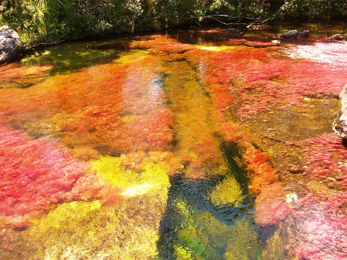 cano-cristales-najr-19