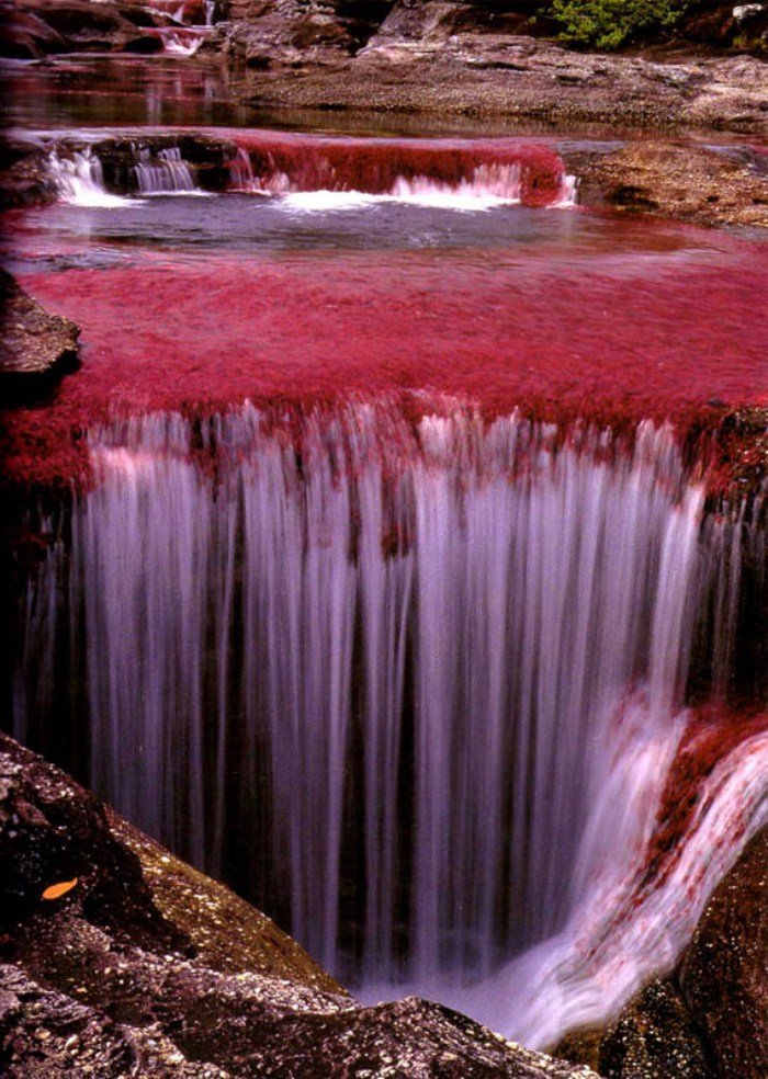 cano-cristales-najr-34