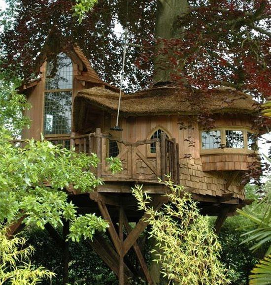 tree_house_01