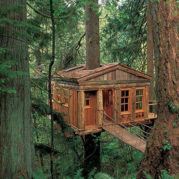 tree_house_02