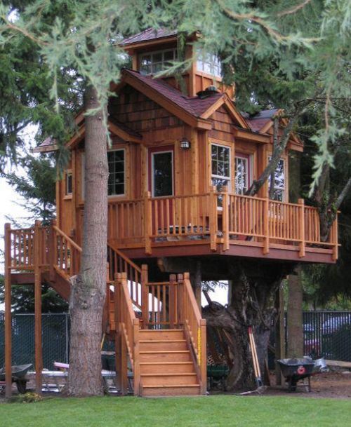 tree_house_04