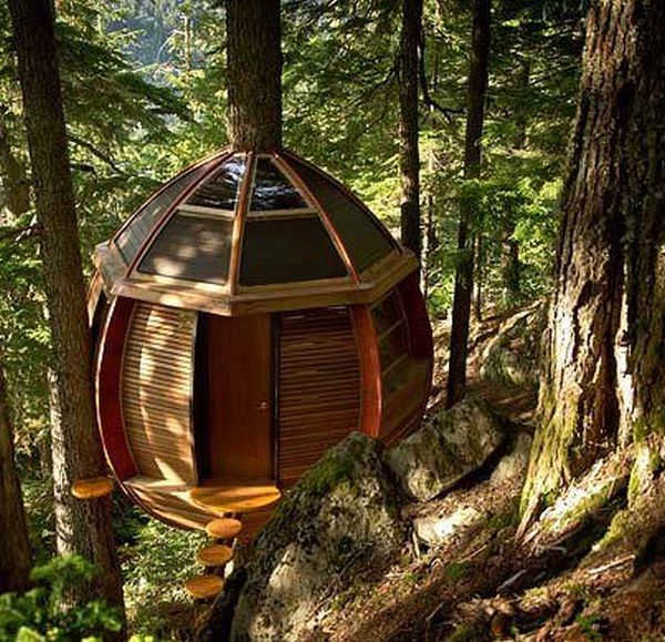 tree_house_05