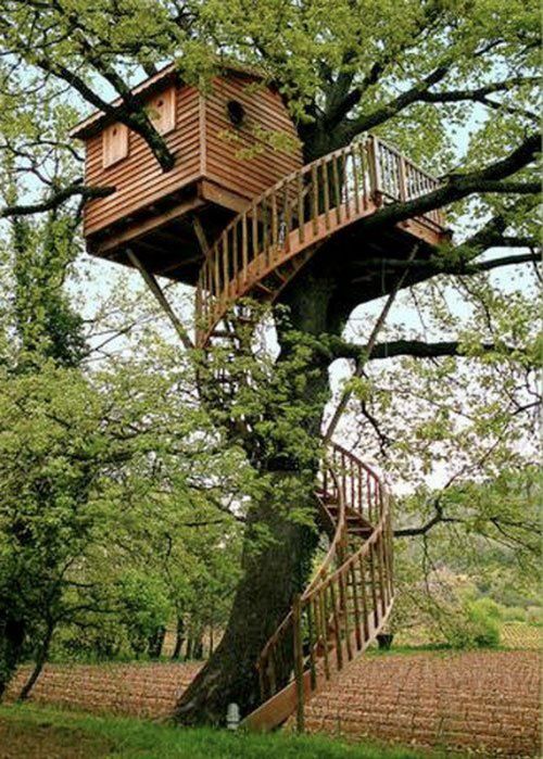 tree_house_06