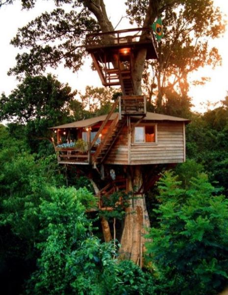 tree_house_13