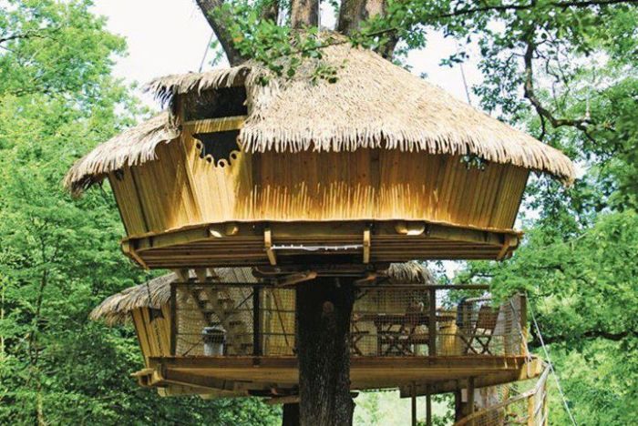 tree_house_14