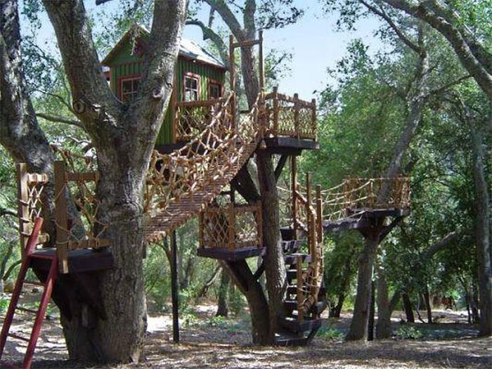 tree_house_18