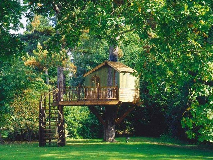 tree_house_19