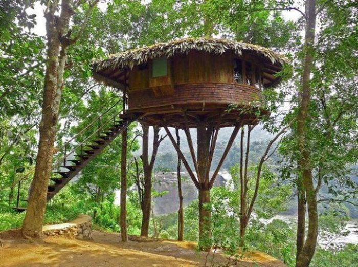 tree_house_22