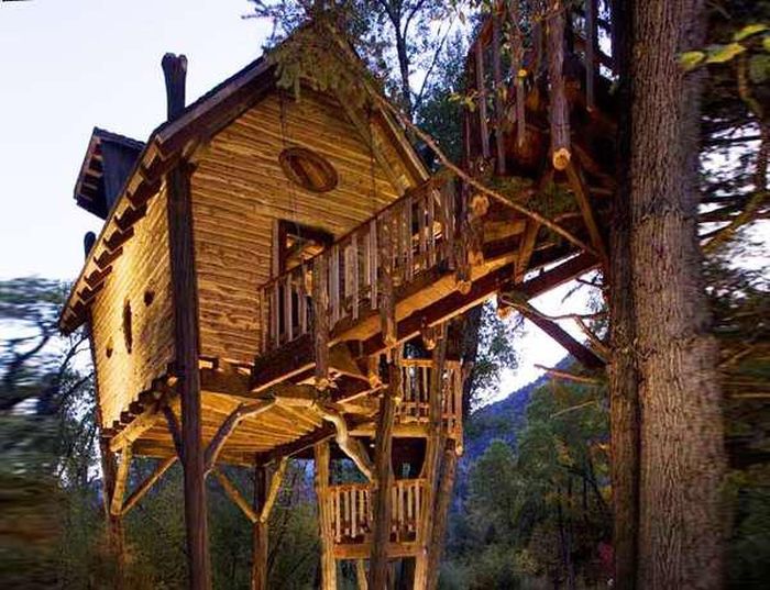 tree_house_38