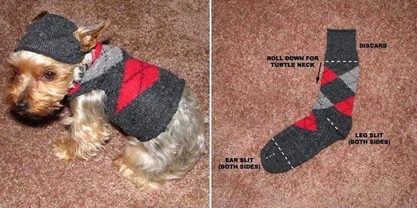 how to make a dog sweater out of a sock