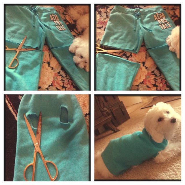 upcycle sweater for dog