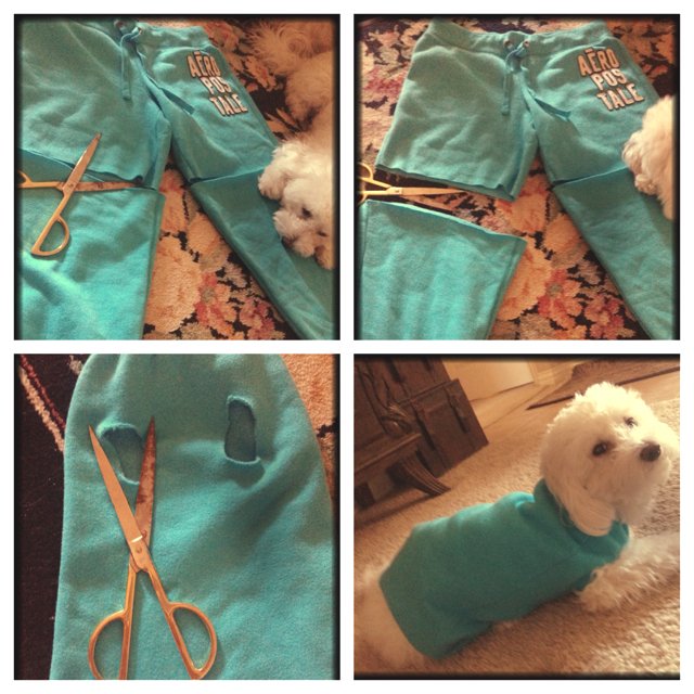 22 DIY Ideas to Create Dog Sweater World inside pictures