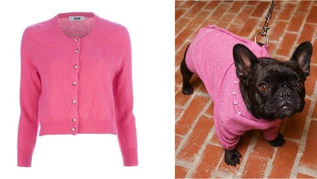 how to make a diy dog sweater