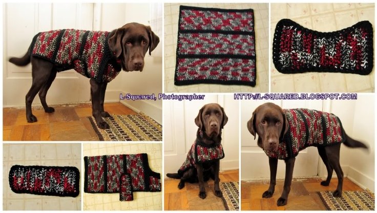 dog sweater jacket