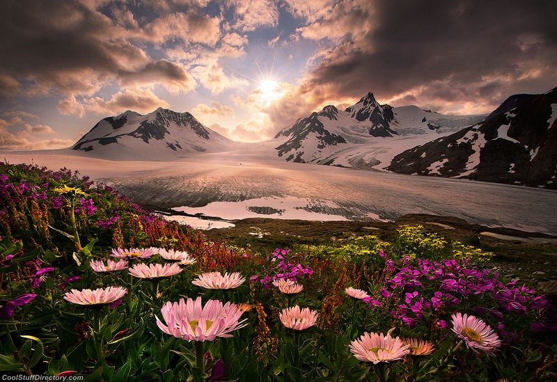 Nature In The Landscapes Of Marc Adamus World Inside Pictures