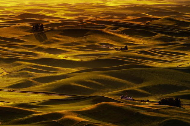 golden-palouse-hills