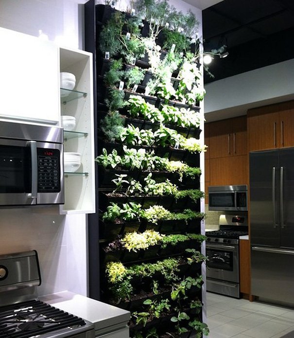 vertical herb garden