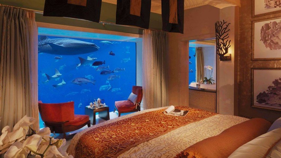 coolest bedroom ever 