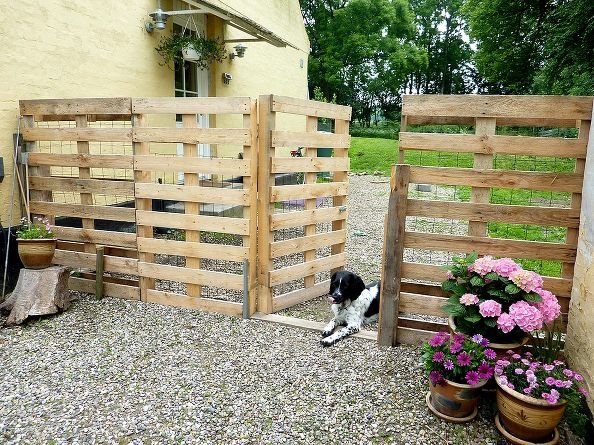 DIY pallet fence