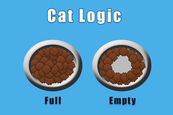 cat-logic-funny-5__605